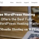 Get 3 Months Free Hosting on WPEngine WordPress Hosting (Special Offer - October, 2014) 39